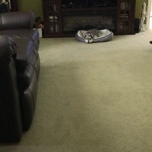 Meet your Posher, Beverly